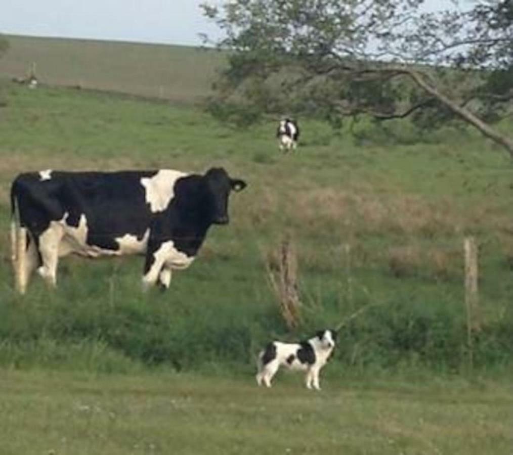 Inglewood - Ballina - Crossmolina - County Mayo - Sleeps 8 - Sister Property To Thistledown Buitenkant foto